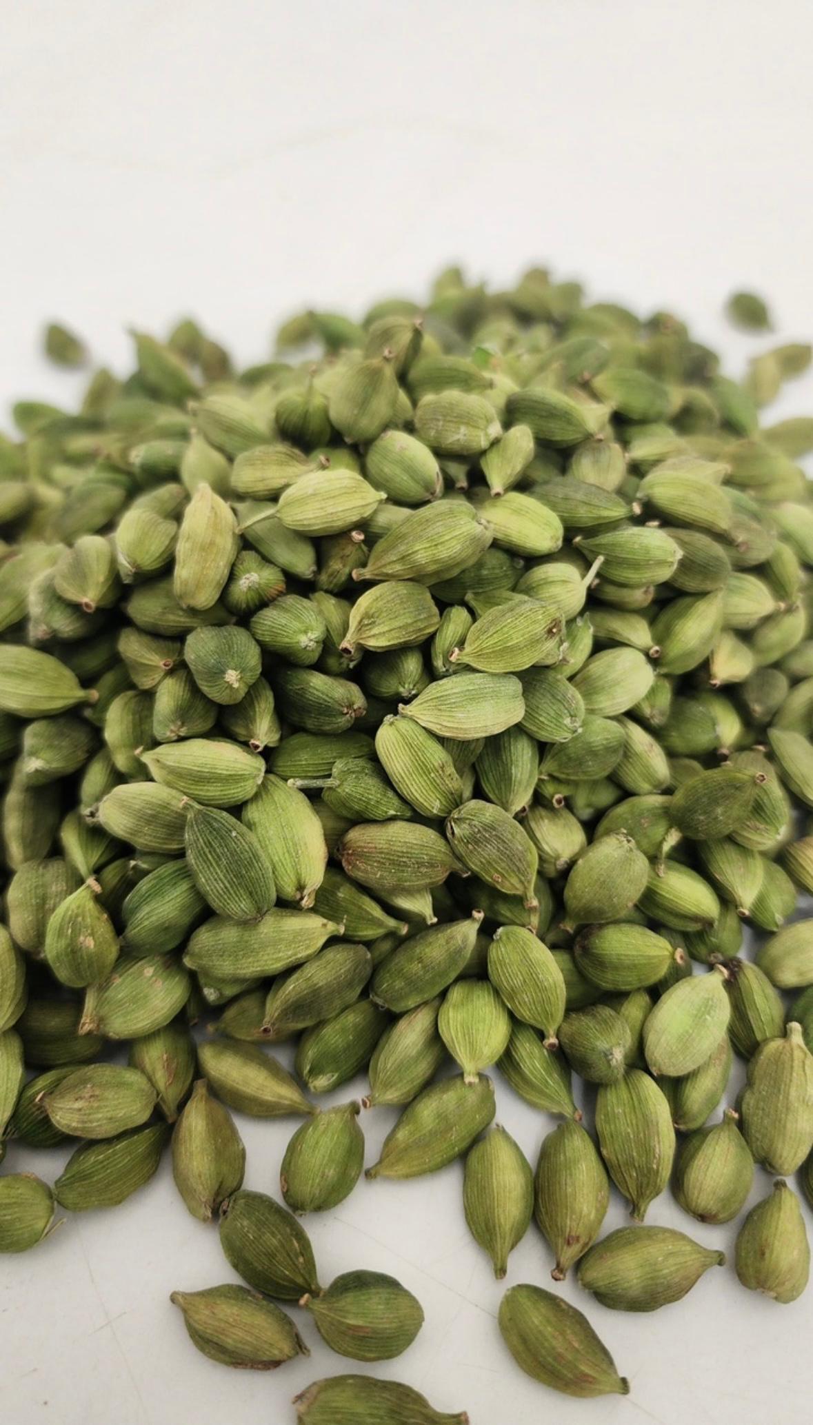 Modern cardamom processing facility